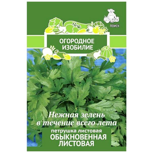 ������ ������ ������ ����� �������� ������������ �������� ����