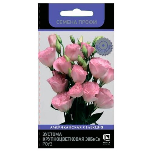 ������ ������ ������ ����� ������� ������ ��������������� ���� 10 ��. ����