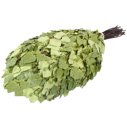 ������ ������ ��������� ����� ��� ���� ����