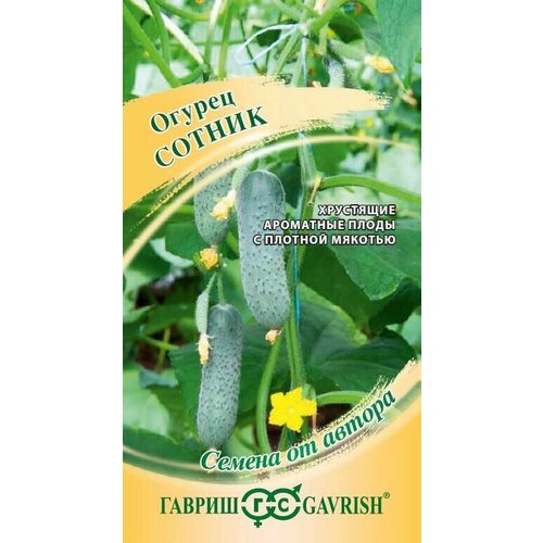 ������ ������ ������ ������ ������ F1 5�� ������������������ ������ (������) ����� �24 ����