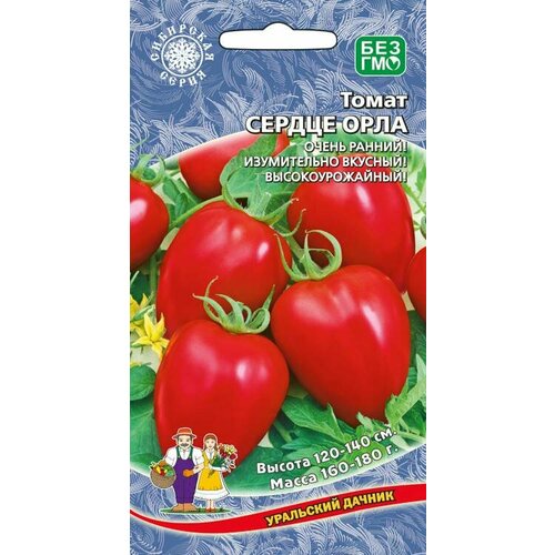 ������ ������ ������ ����� ������� ������ (������ ����) 20�� ����� ������ (��������� ������) ����