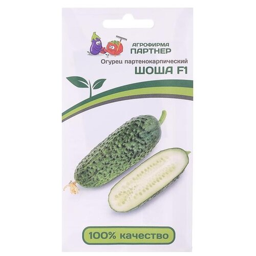 ������ ������ ������ ��������� ������� ������ ���� F1 5 �� ����