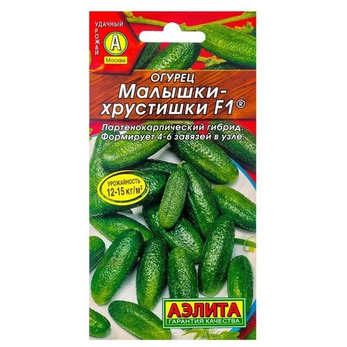 ������ ������ ������ ������ �������-��������� F1 �����������, ������������������ 10��/1 ����