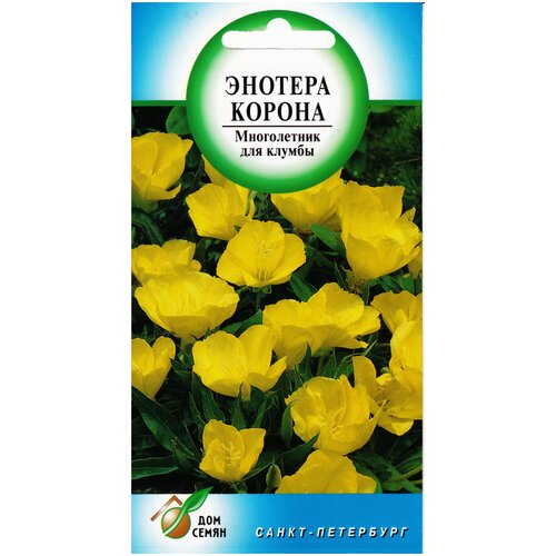 ������ ������ ������� ����������� ������, 30 ����� ����