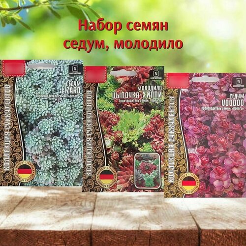 ������ ������ ������ ����������� �������� ����� � �������� ����� 3 ��. ����