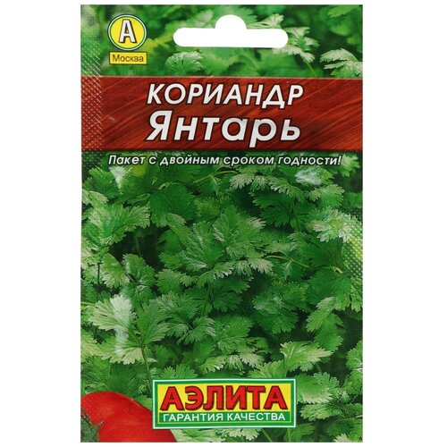 ������ ������ ������ �������� 