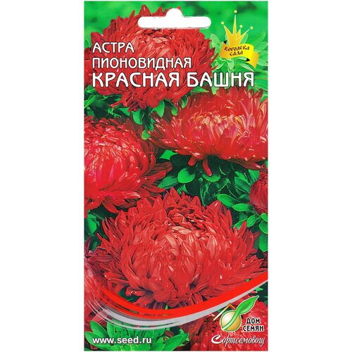 ������ ������ ����� ����������� ������� �����, 85 ����� ����