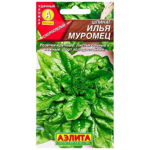 ������ ������ ������. ������ 