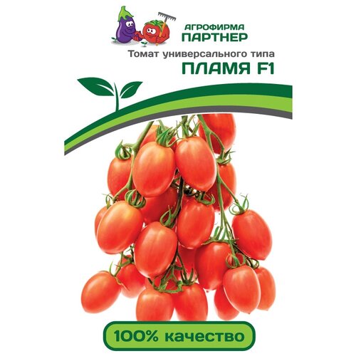 ������ ������ ������ ������ 