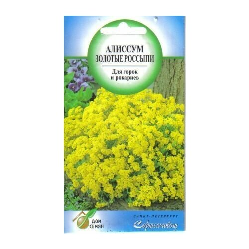 ������ ������ ������� ����������� ������� �������, 70 ����� ����