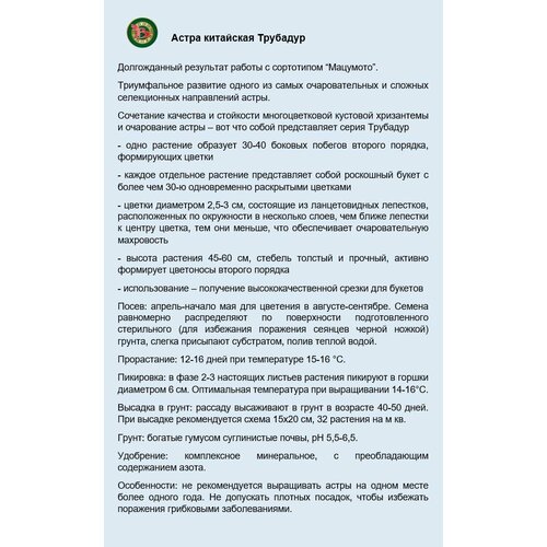 ������ ������ ������ ����� ��������� 