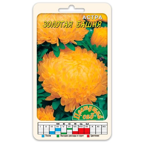 ������ ������ ����� ����� ����� ������� ����������� (������ �������� ��� 0,2 �) ����