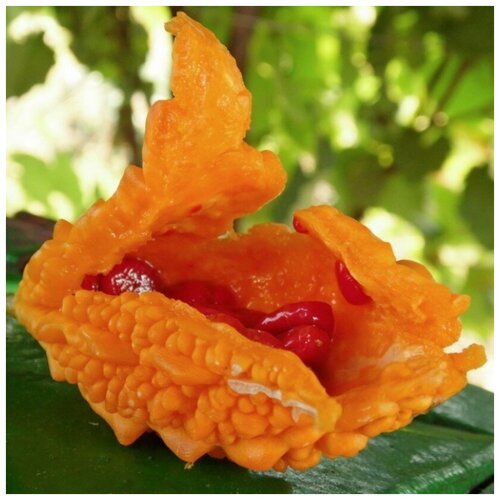 ������ ������ ������ ������ ��������� �������� 5 ��. ����