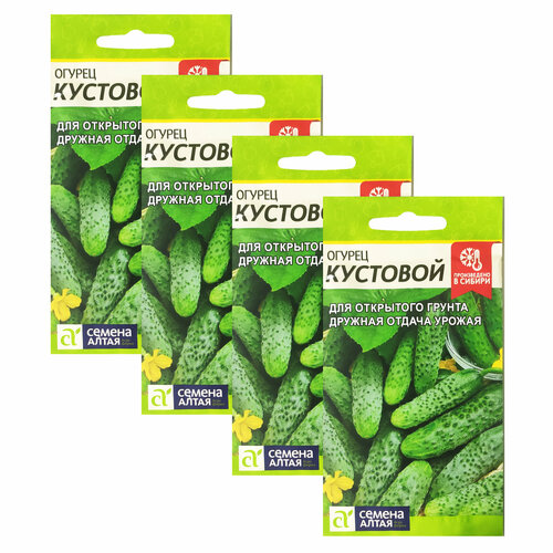 ������ ������ ������ ������ �������� 0,5 � (������ �����) , 4 �������� * 0,5 � ����