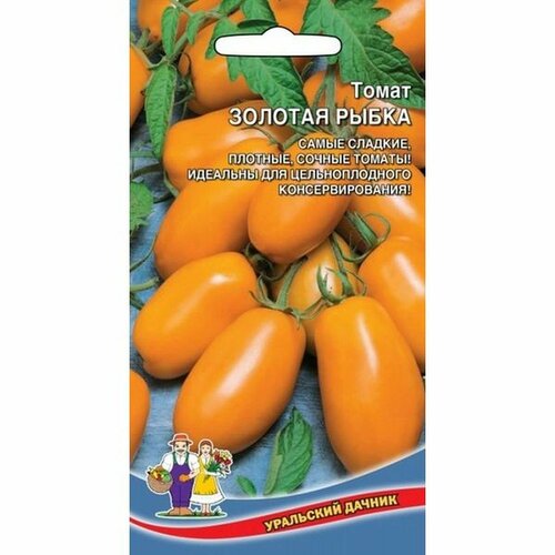 ������ ������ ������ ����� ������� �����, ������������, ������������, 20�� ����