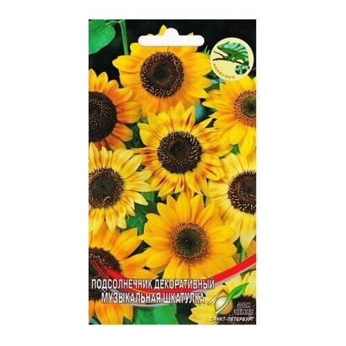 ������ ������ ������������ ������������ ����������� ��������, 10 ����� ����