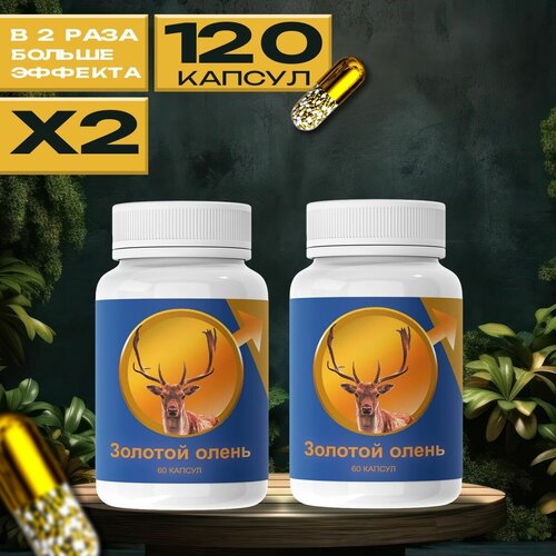 ������ ������ ������� ����� ������� ��� ��������� ������� �������� ����