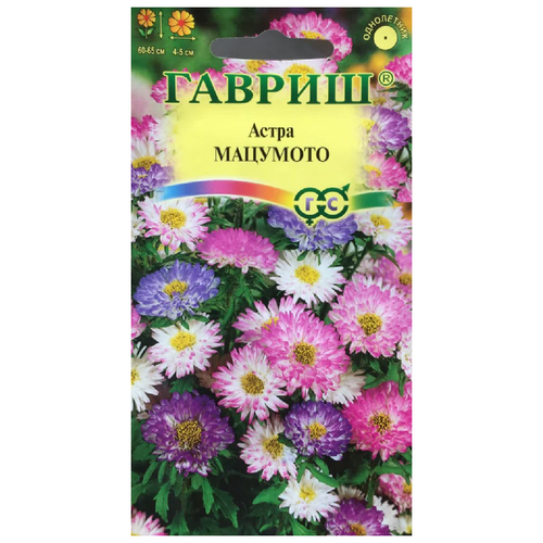 ������ ������ ������. ����� 