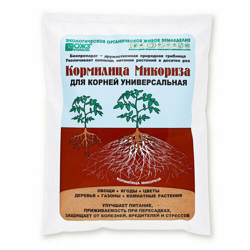 ������ ������ ��������� �������� ���������� - 1 � ����