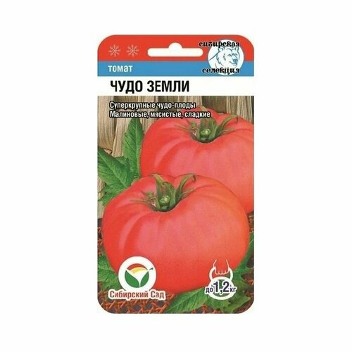 ������ ������ ����� ���� ����� 20 �� ��������� ��� ����