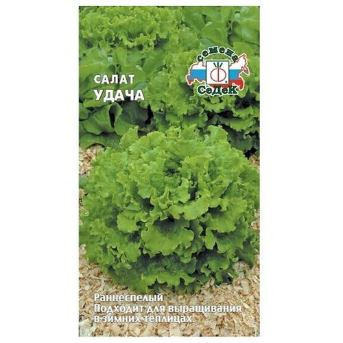 ������ ������ ������ ������ ����� ����� 0,5� ����