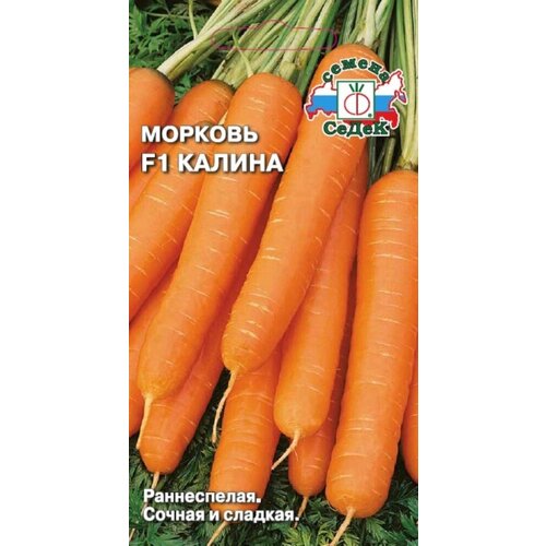 ������ ������ ������ ������� ������ F1 2� ������ (�����) ����