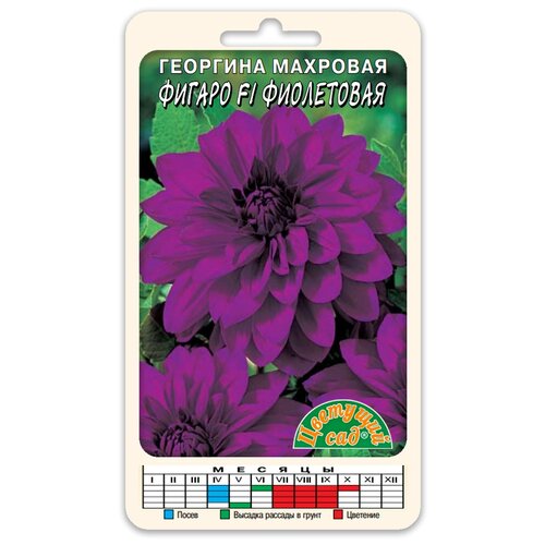 ������ ������ ������ �������� ��� 