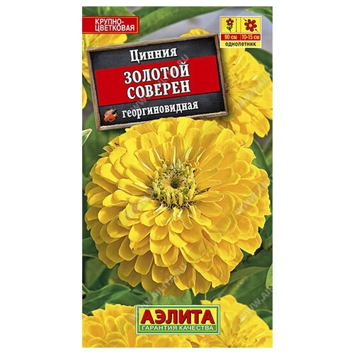 ������ ������ ������� ������ 