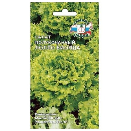 ������ ������ ������ ������ ����� ����� ������ 1 � ����