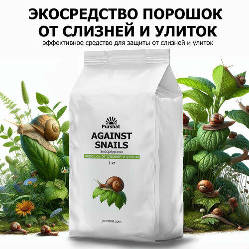 ������ ������ ����������� ������� �� ������� � ������ Purshat 1 �� ����