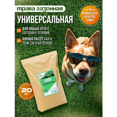 ������ ������ �������� �����, ������, ������������� ����������, 20 �� ����