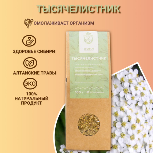 ������ ������ ������������� ����� 70 �� ���� ����