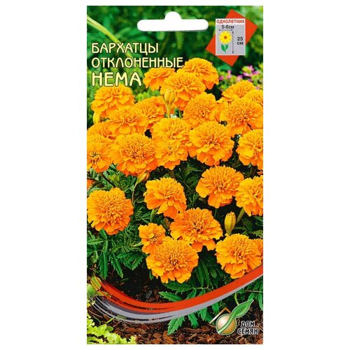 ������ ������ �������� (������� �����������) ����, 60 ����� ����