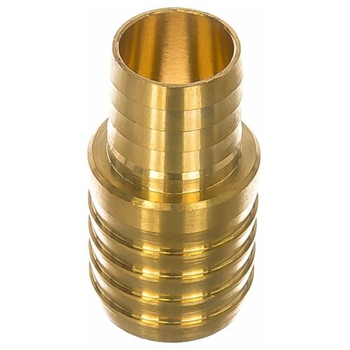 ������ ������ ���������� ��������� ��������� ������� 19�� - 25�� ����