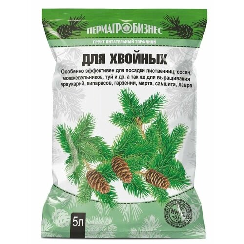 ������ ������ ����� ��� �������, �����, ����� 5 � ����