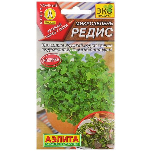 ������ ������ ��������� ������ ������ ����������� �����, 5 � ����