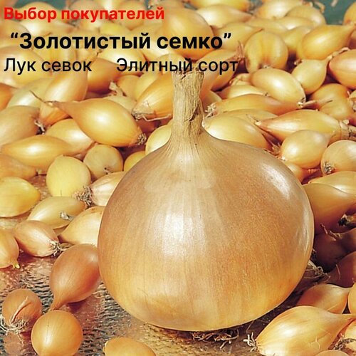 ������ ������ ��� ����� ������ �� ������� 