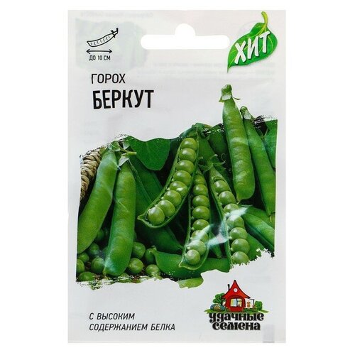 ������ ������ ������ ����� 