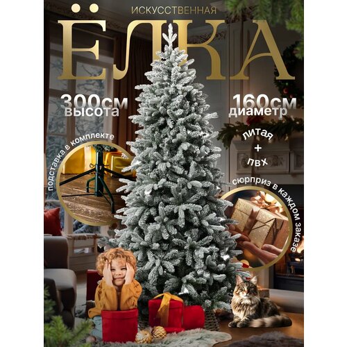 ������ ������ ������������� ���� 300 �� ����������� ����