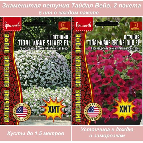 ������ ������ ������ ������ �������������� ������� ������ ���� ����