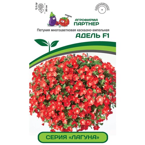 ������ ������ ������ ������� �������������� ��������-��������� 