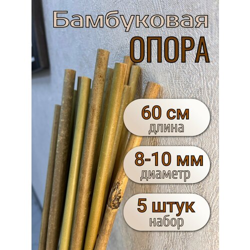 ������ ������ ����� ���������� ��� �������� � ������ 60 ��, 8/10 ��, 5��. ������� �������. ����