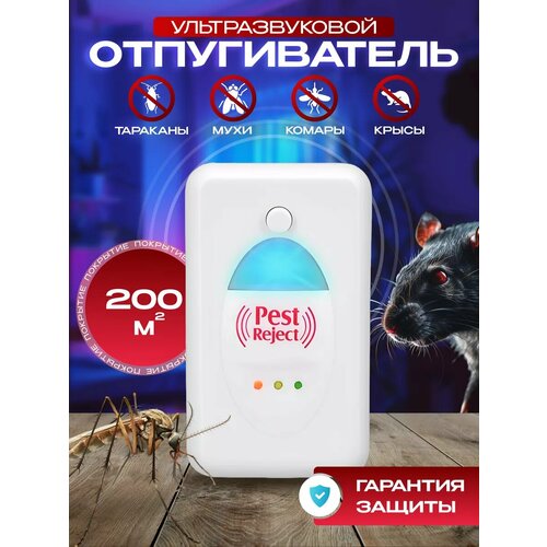 ������ ������ �������������� ������������ ����� � ��������� ����