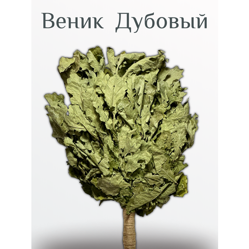 ������ ������ ����� ��� ���� ������� 