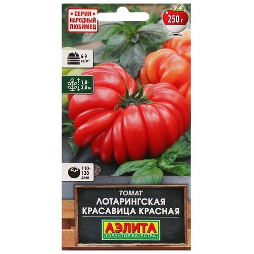 ������ ������ ������ ����� 