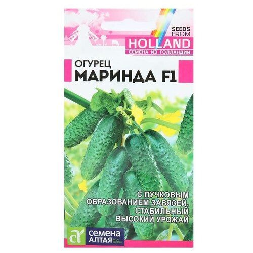 ������ ������ ������ ������ 