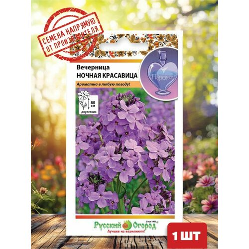 ������ ������ ��������� ������ ��������� ����