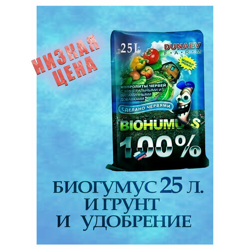������ ������ �������� 25�. � ����� � ��������� ����