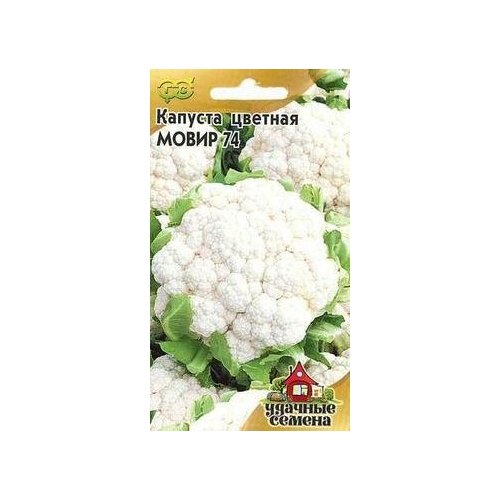 ������ ������ ������. ������� ������� 