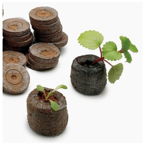 ������ ������ �������� �������� Jiffy-7 ��� ������������ ����� 33 �� (30 ��) ����